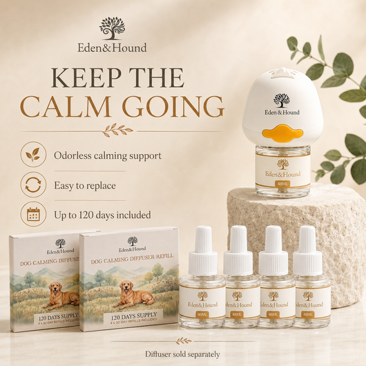 4-Month Refill Pack – 4 × 48ml