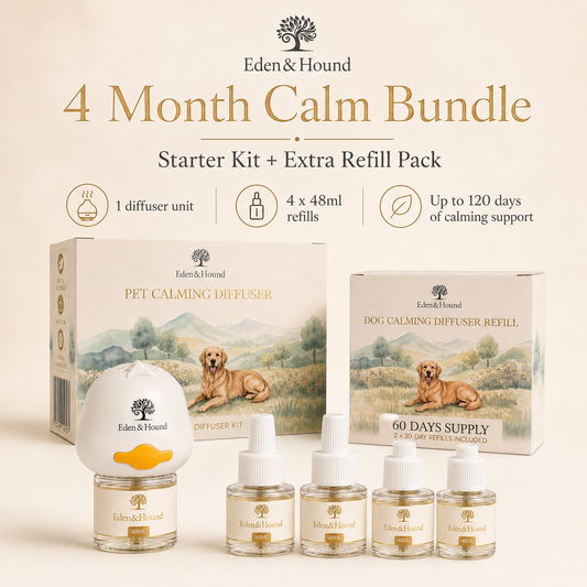 4-Month Calm Bundle – Diffuser + 4 Refills