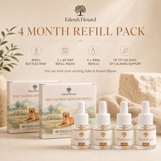 4-Month Refill Pack – 4 × 48ml
