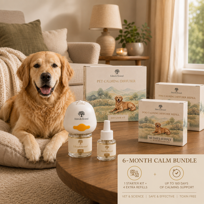 6-Month Calm Bundle – Diffuser + 6 Refills