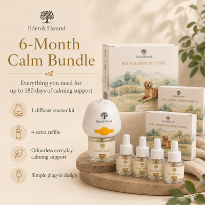 6-Month Calm Bundle – Diffuser + 6 Refills