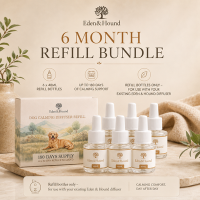 6-Month Refill Bundle – 6 × 48ml