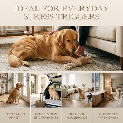 Starter Kit – 60 Day Dog Calming Diffuser Starter Kit