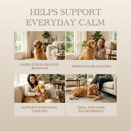 Starter Kit – 60 Day Dog Calming Diffuser Starter Kit