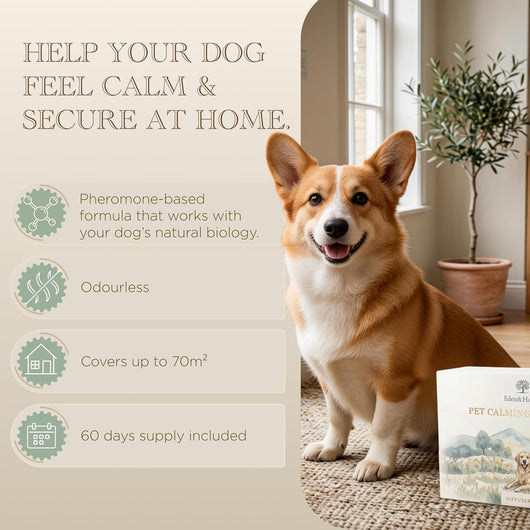 Starter Kit – 60 Day Dog Calming Diffuser Starter Kit