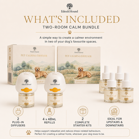 Two-Room Calm Bundle – 2 Complete Diffuser Starter Kits