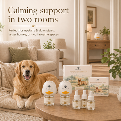 Two-Room Calm Bundle – 2 Complete Diffuser Starter Kits