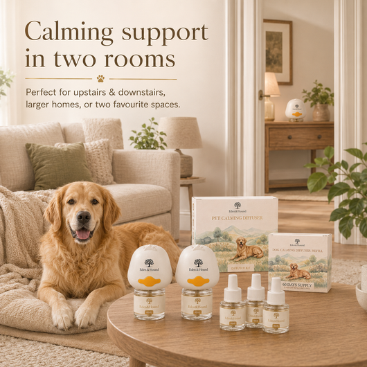 Two-Room Calm Bundle – 2 Complete Diffuser Starter Kits