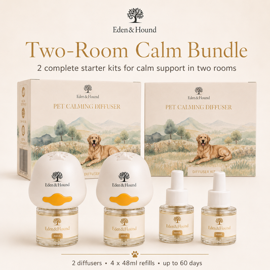Two-Room Calm Bundle – 2 Complete Diffuser Starter Kits