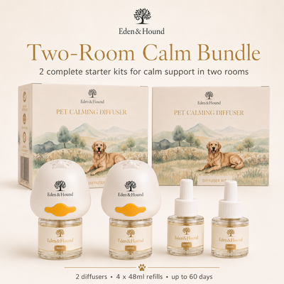 Two-Room Calm Bundle – 2 Complete Diffuser Starter Kits