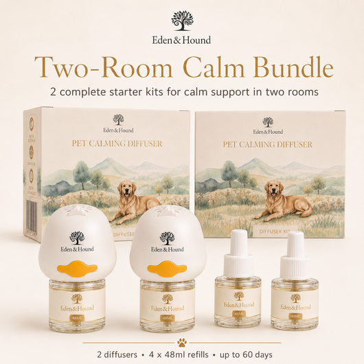 Two-Room Calm Bundle – 2 Complete Diffuser Starter Kits
